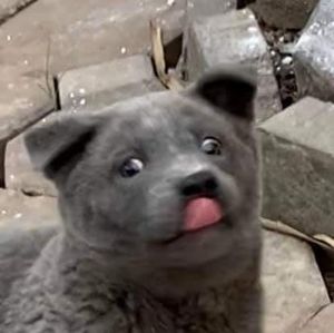 Meet your Posher, Jayde